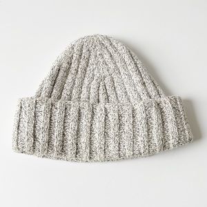 Aritzia Beanie